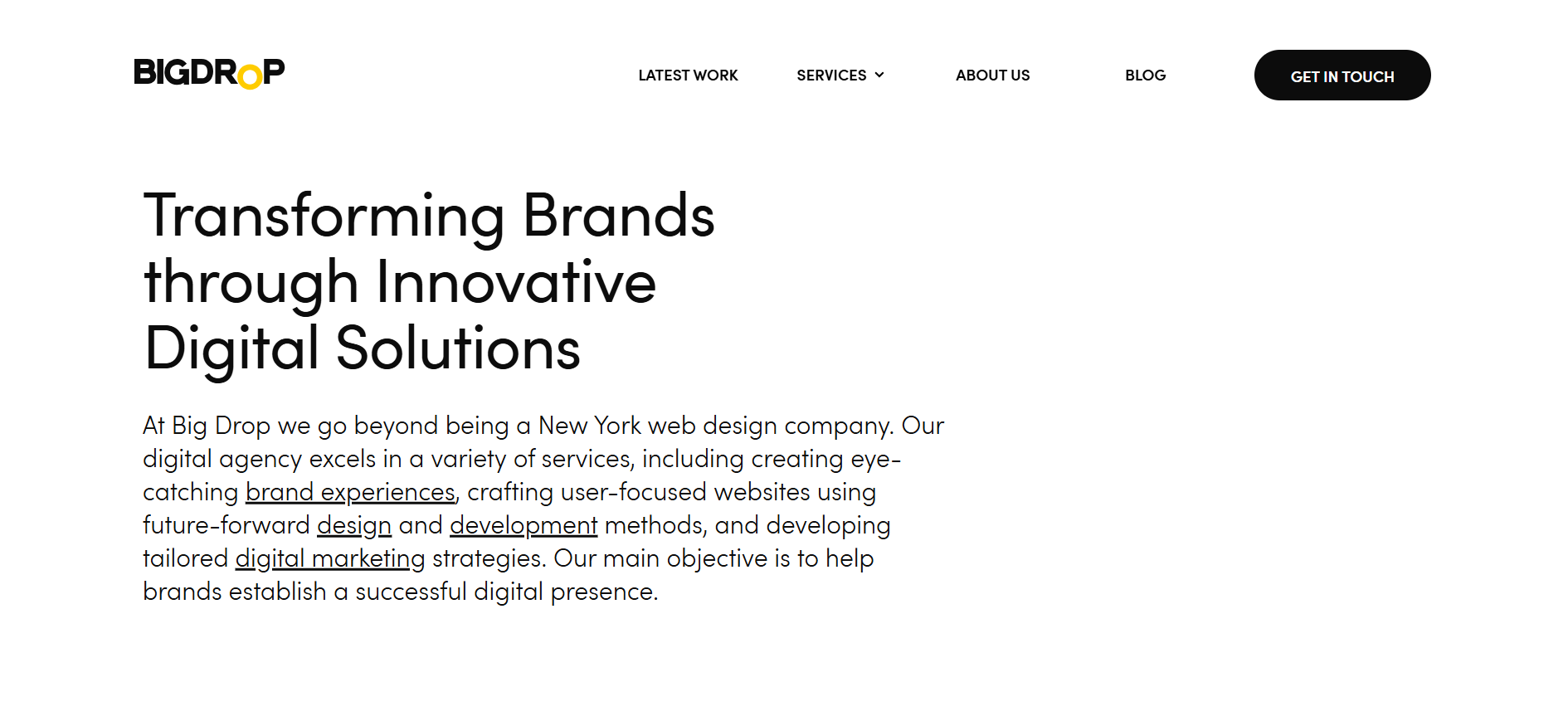Big Drop Inc: Best Web Design Agencies in the US